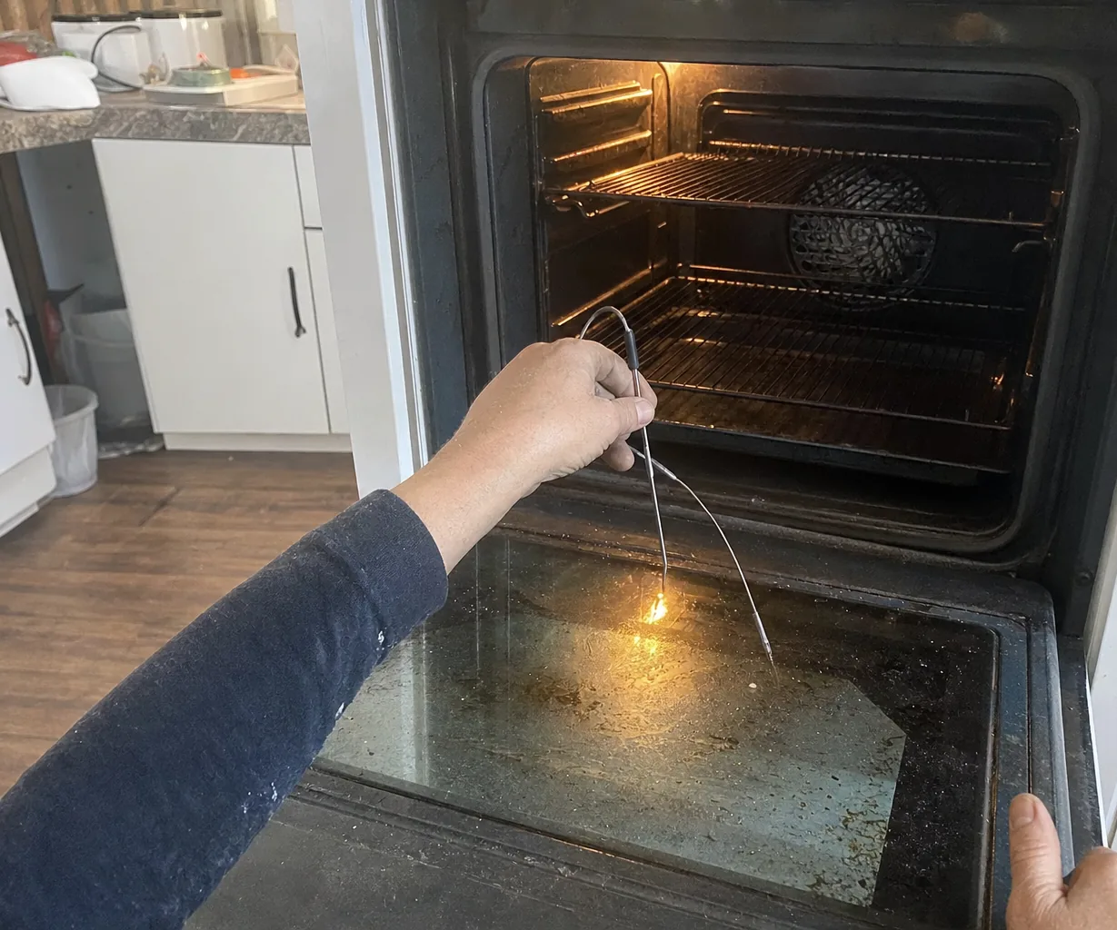 Mirrored crop of a lit oven cavity with a measuring probe clipped to the centre shelf